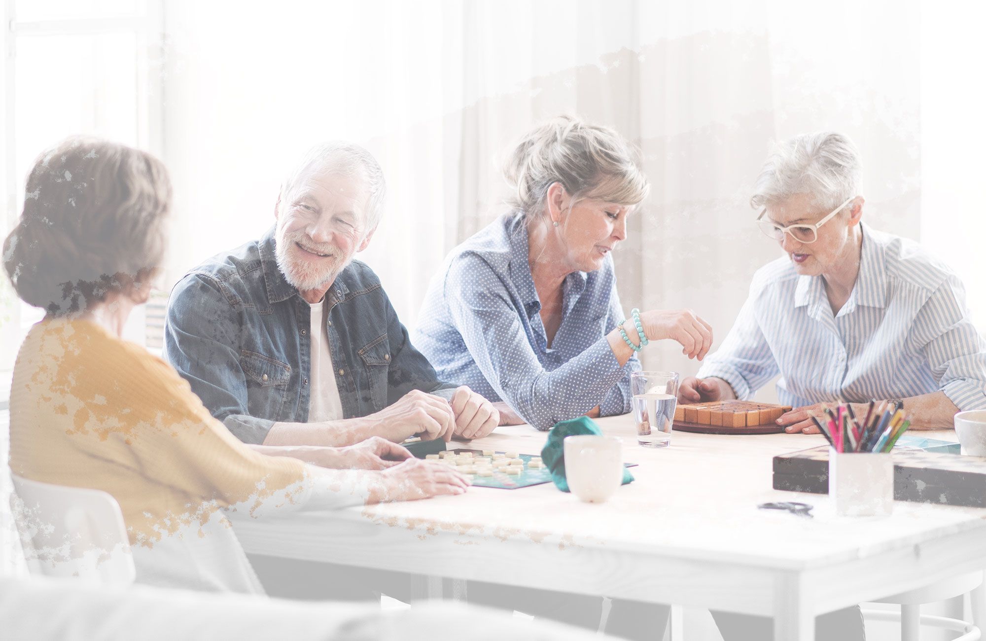 Senior Assistance Services Senior Assistance Services